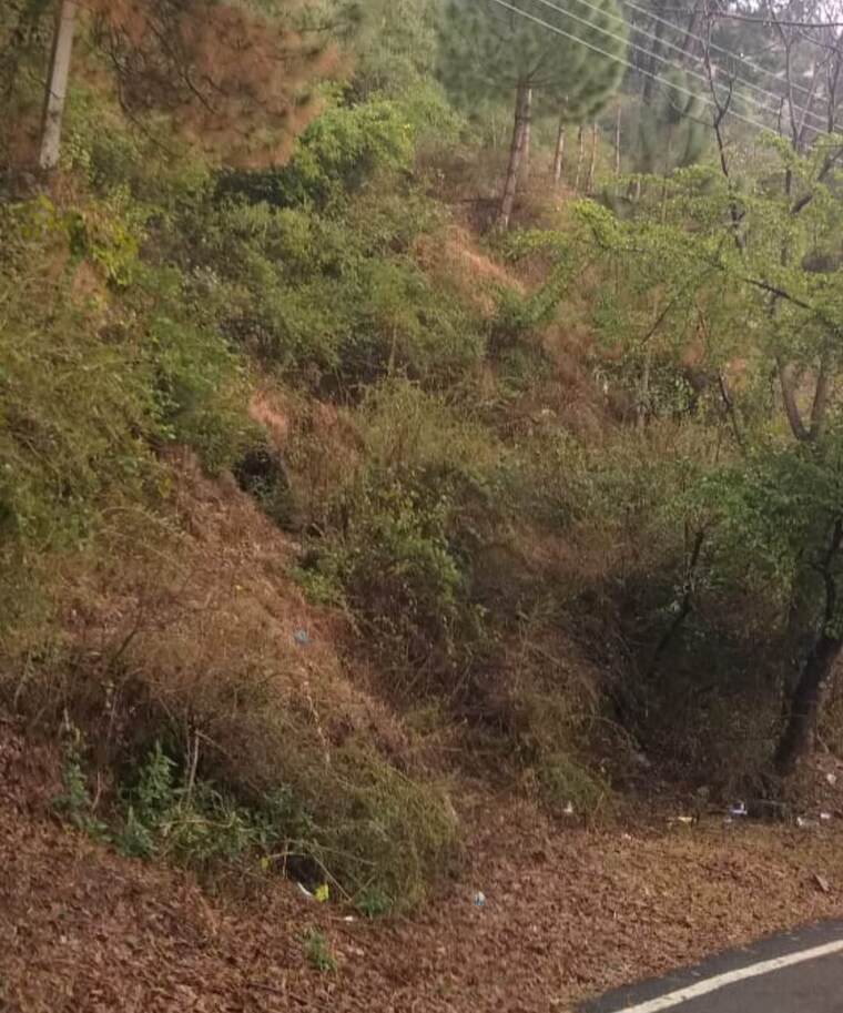 undefined, jutogh  2000 Sq.Ft. Plot In Jutogh Shimla 9664379