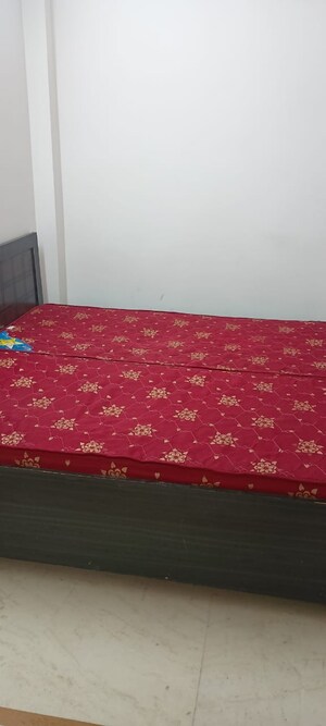 1 BHK Builder Floor For Rent in Lajpat Nagar ii