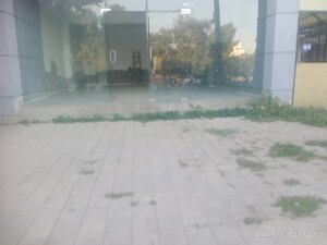 Swimming Pool in  Office Space at Manjalpur – for Rent