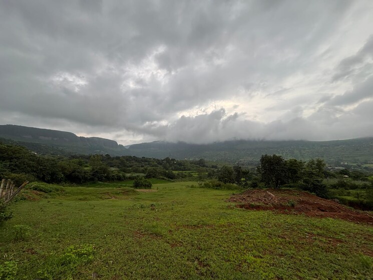 undefined, trimbak road  8850 Sq.Ft. Plot In Trimbak Road Nashik 9664561