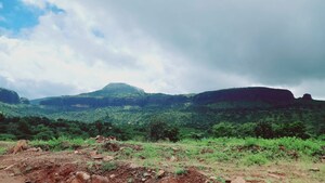 Plot Area in  Plot at Trimbak Road – for Sale