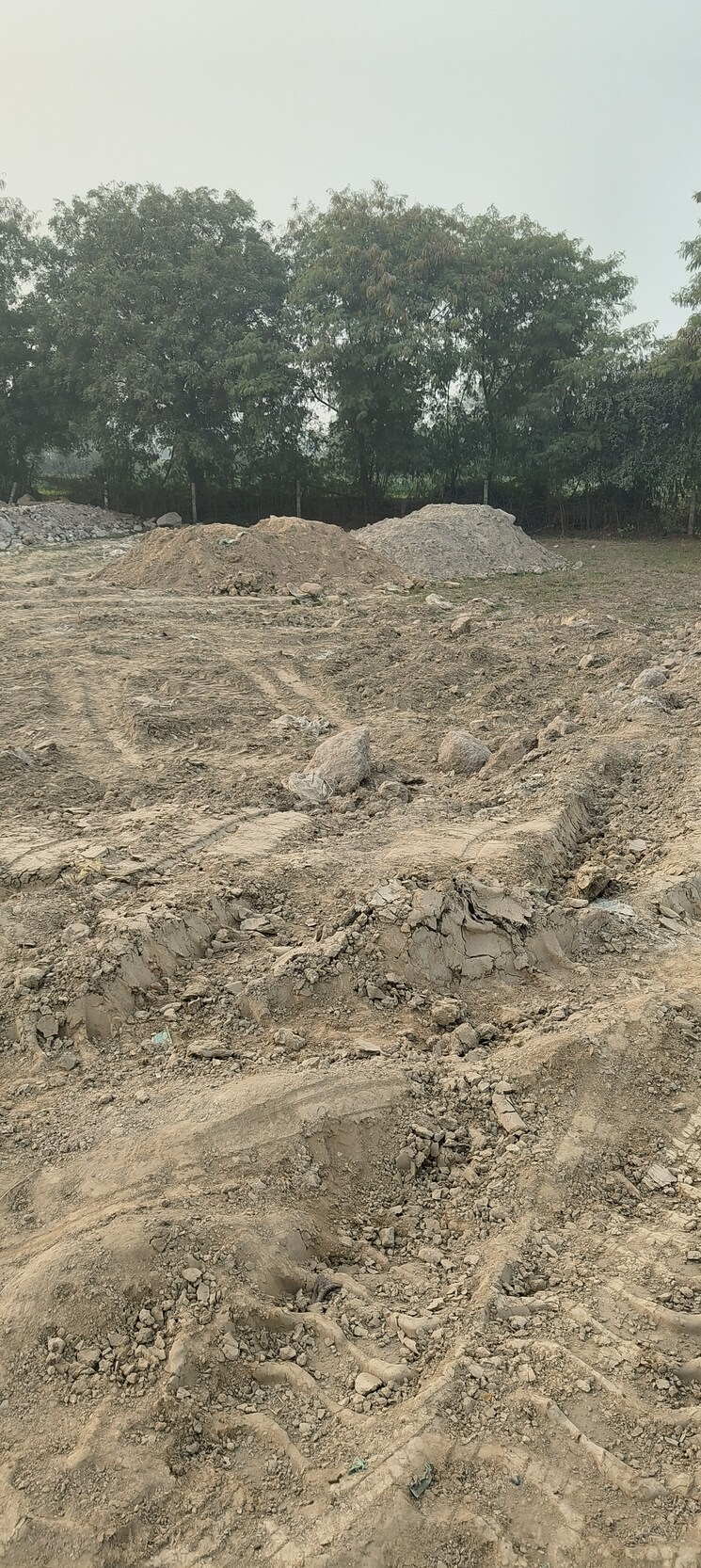 undefined, noida central  100 Sq.Yd. Plot In Noida Central Noida 9664844