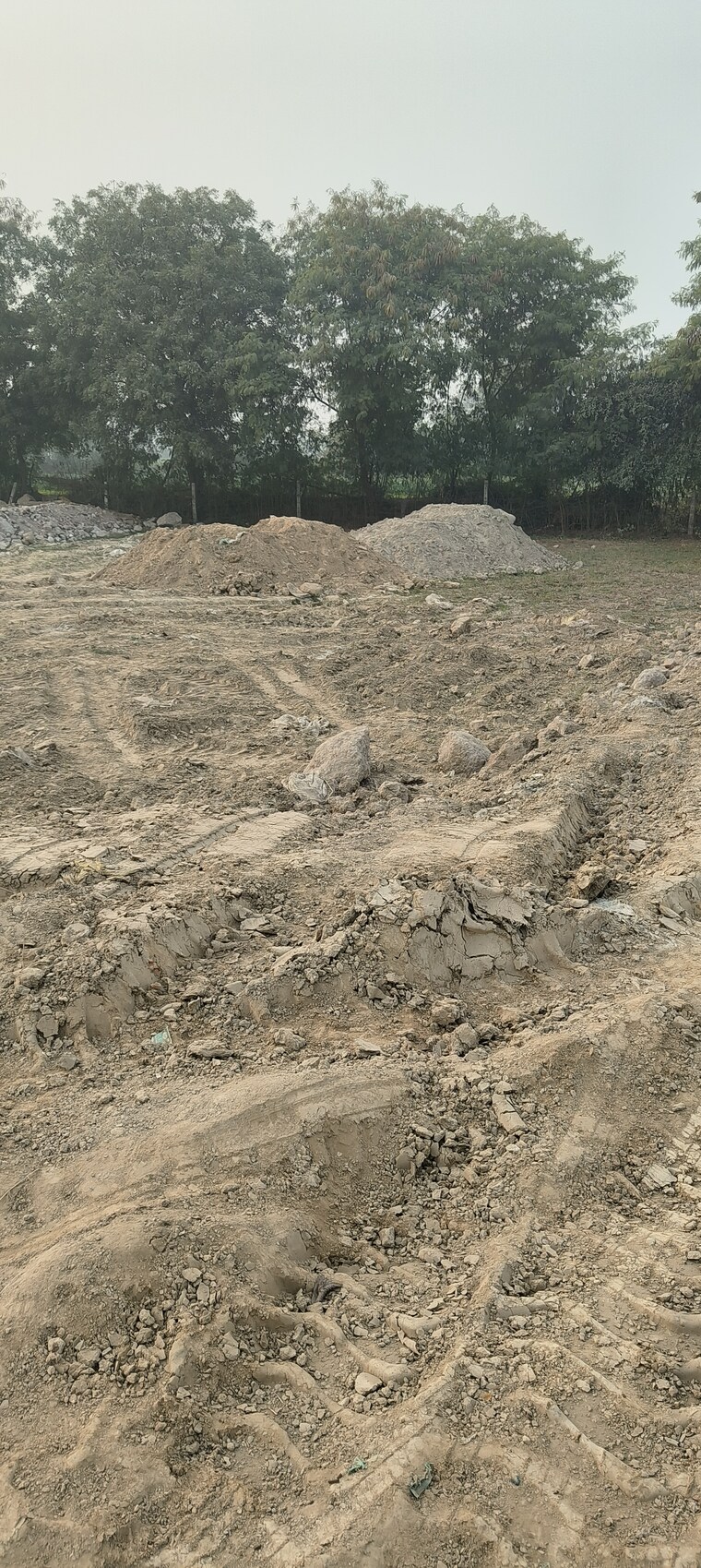 undefined, noida central  100 Sq.Yd. Plot In Noida Central Noida 9664844