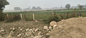 Plot Area in  Plot at Noida Central – for Sale