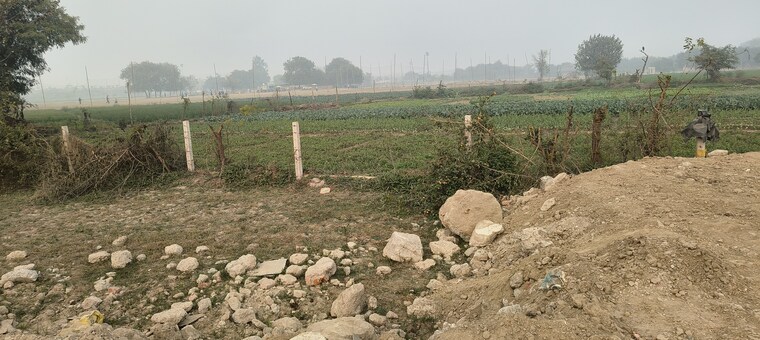 undefined, noida central  100 Sq.Yd. Plot In Noida Central Noida 9664844