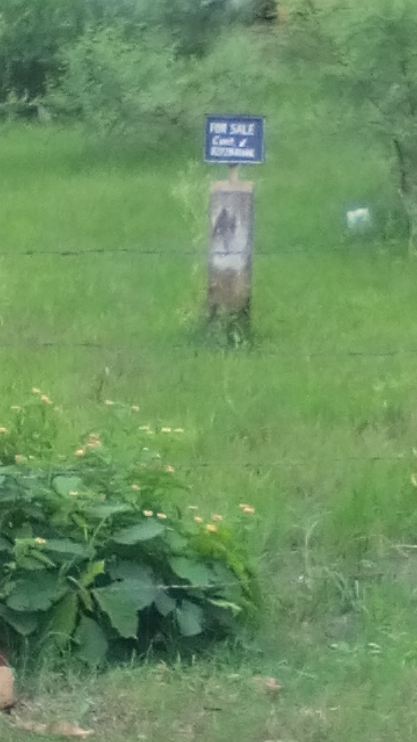 Land For Sale in Arvind Vihar