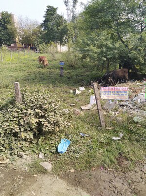  Plot – Garden View at Chuna Bhatti - for Sale