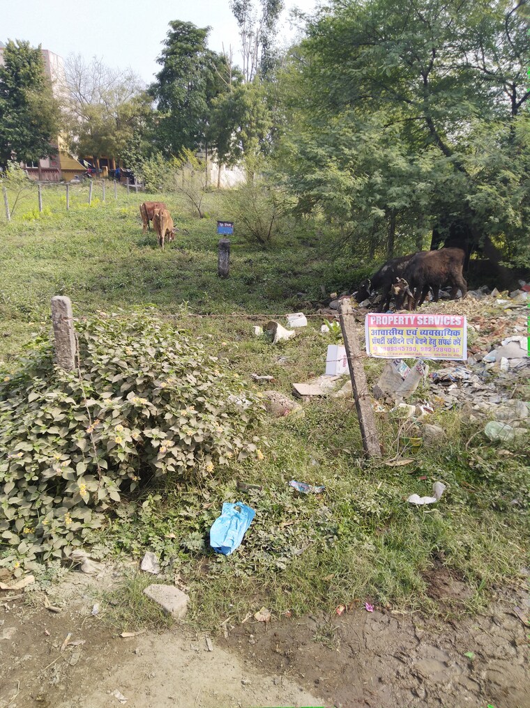 Garden, chuna bhatti  1107 Sq.Ft. Plot In Chuna Bhatti Bhopal 9665032