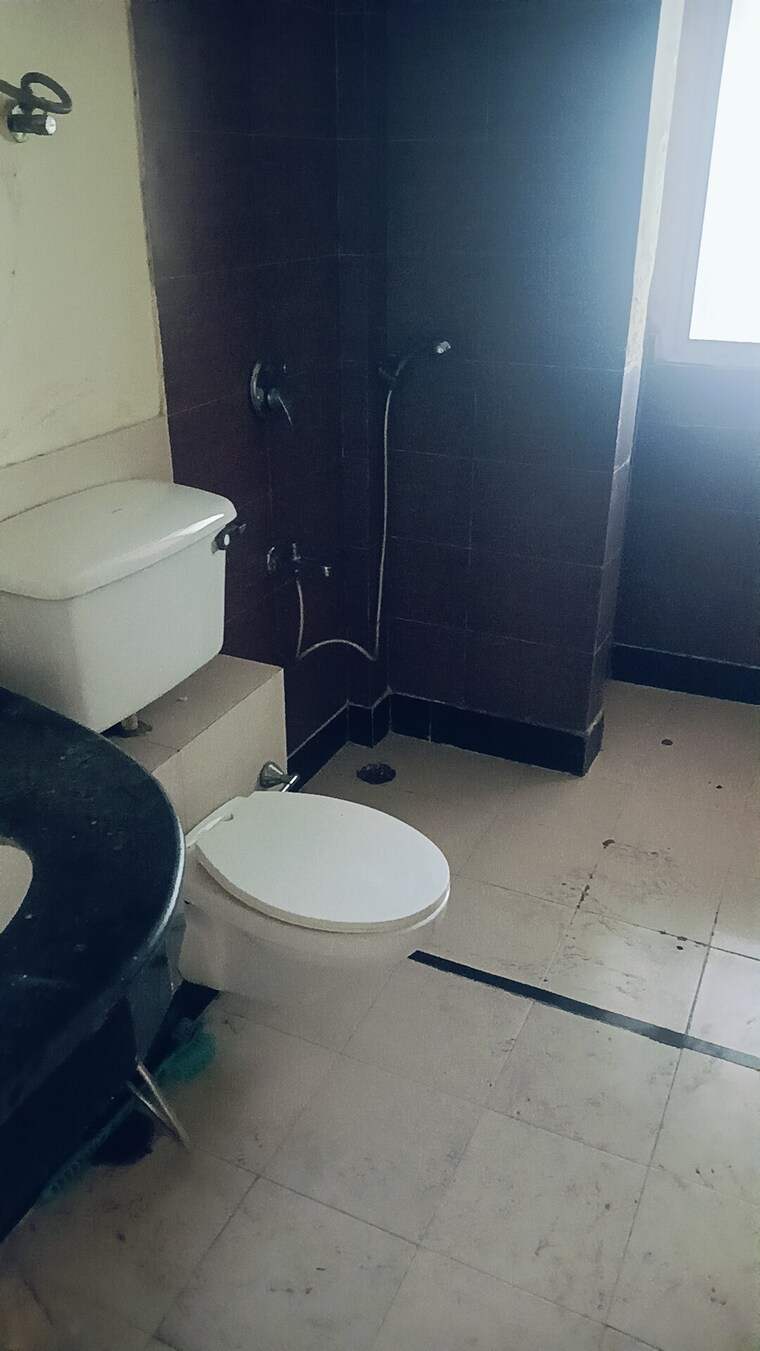 Bathroom, ansal-api-aquapolis 4 Bedroom 4620 Sq.Ft. Penthouse In Dundahera Ghaziabad 9665074