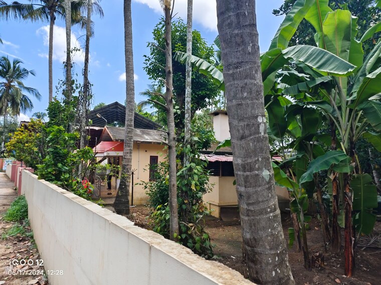 Balcony, villadam  5880 Sq.Ft. Plot In Villadam Thrissur 9665312