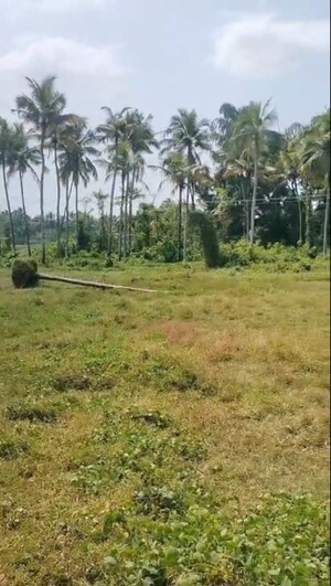 Plot Area in  Plot at Kaiparambu jn – for Sale