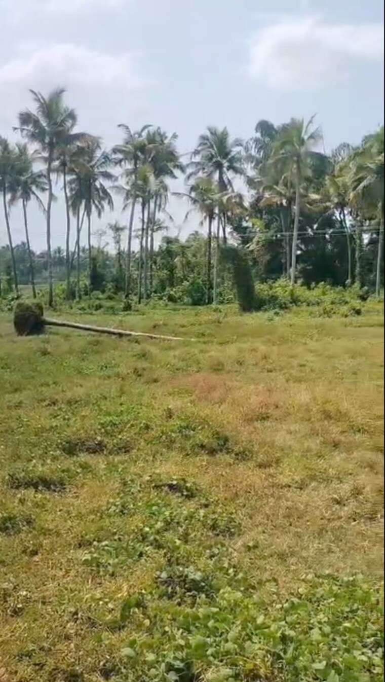undefined, kaiparambu jn  36154 Sq.Ft. Plot In Kaiparambu jn Thrissur 9665329