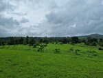 20 Acre Plot in Hill View Land Mahad