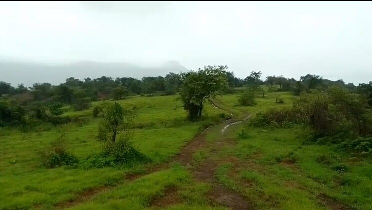 undefined, mahad  20 Acre Plot In Mahad Raigad 9665389