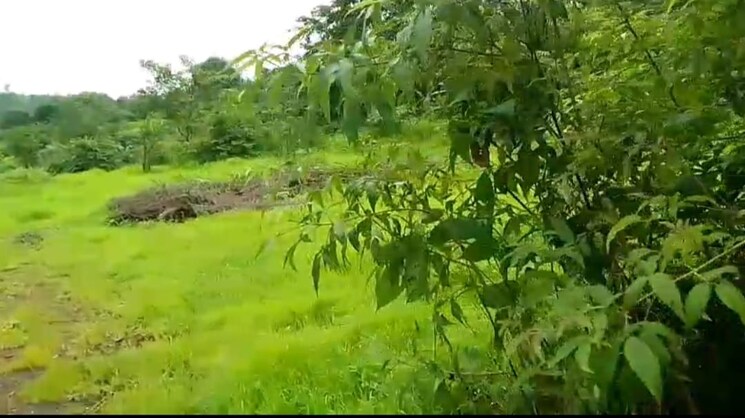 undefined, mahad  20 Acre Plot In Mahad Raigad 9665389