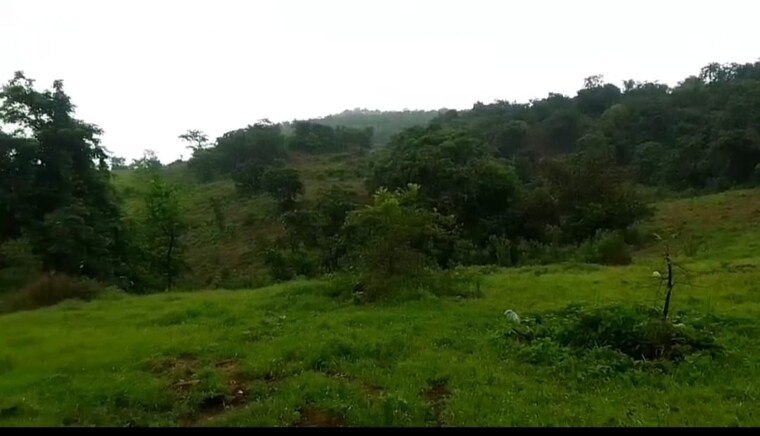undefined, mahad  20 Acre Plot In Mahad Raigad 9665389