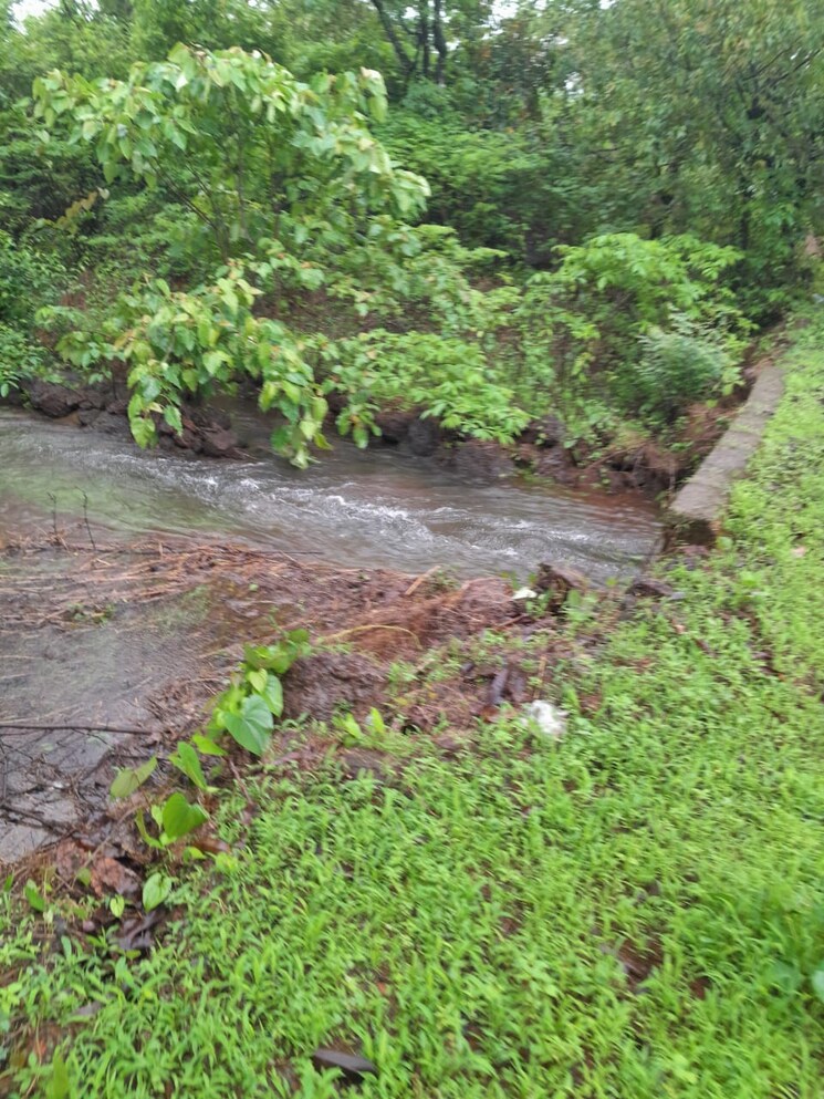 undefined, mahad  20 Acre Plot In Mahad Raigad 9665389