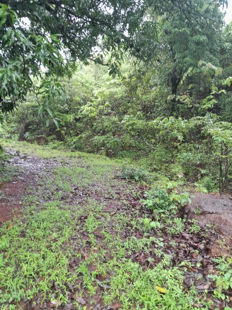 undefined, mahad  20 Acre Plot In Mahad Raigad 9665389