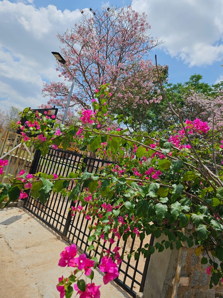 Exterior View, gattahalli  1500 Sq.Ft. Plot In Gattahalli Bangalore 9665482