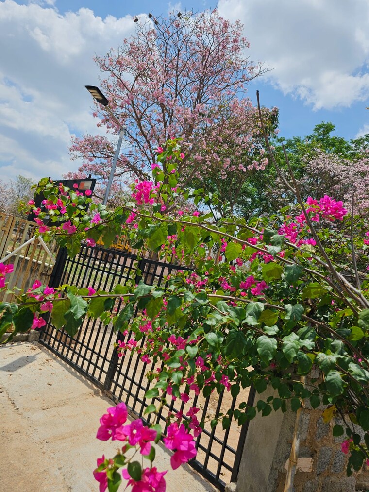 Exterior View, gattahalli  1500 Sq.Ft. Plot In Gattahalli Bangalore 9665482