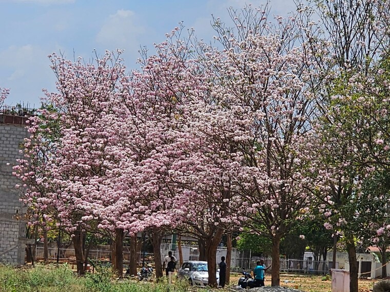 undefined, gattahalli  1500 Sq.Ft. Plot In Gattahalli Bangalore 9665482