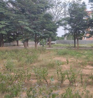 Plot Area in  Plot at Gattahalli – for Sale