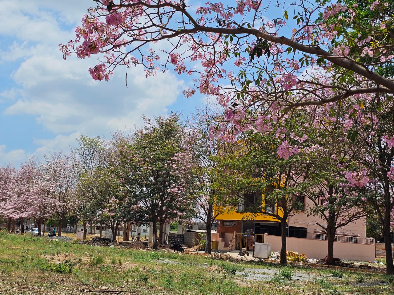 Plot For Sale in Gattahalli