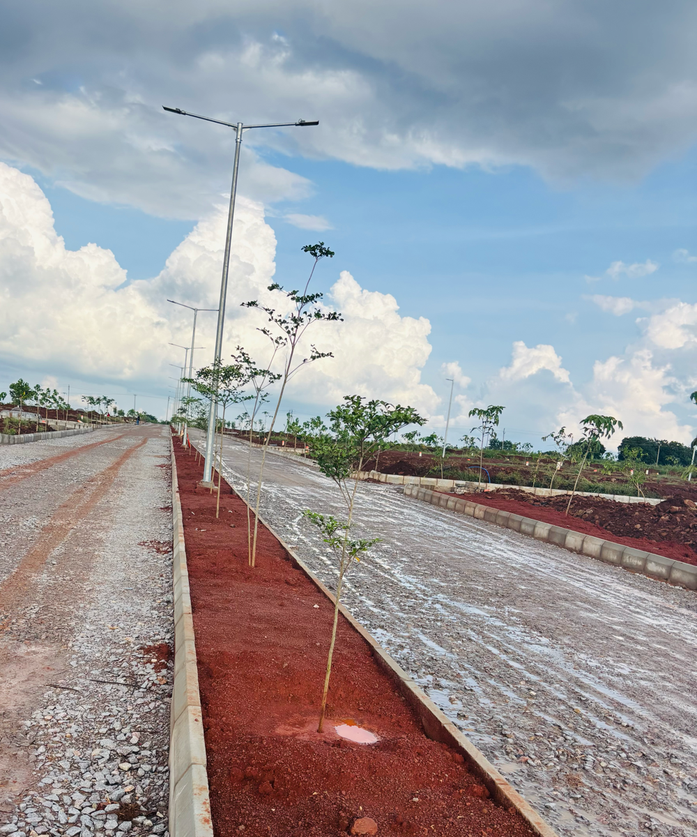 Plot For Sale in JB Nature Valley