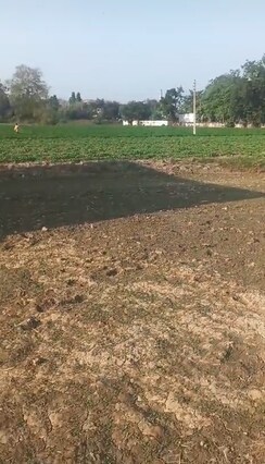 Plot For Sale in Dadri