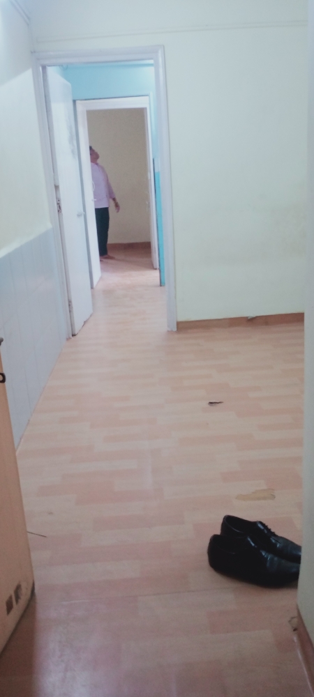 1 BHK + Pooja Room Apartment For Rent in Sai Anand CHS
