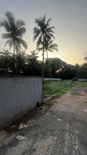 Plot Area in  Plot at Kuttoor – for Sale