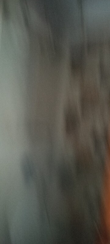 Room in 2.5 BHK Apartment at Amanora Neo Towers, Hadapsar – for Rent