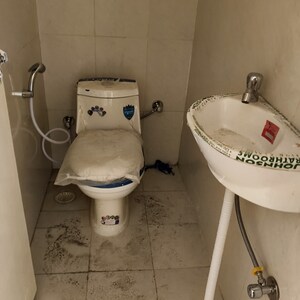 1 BHK Apartment For Rent in Pyramid Altia, Sector 70