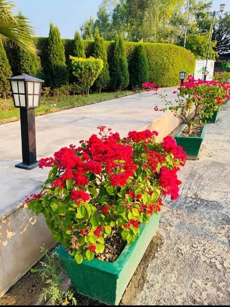 Garden, wing-lucknow-greens-plots  1801 Sq.Ft. Plot In Sultanpur Road Lucknow 9666224