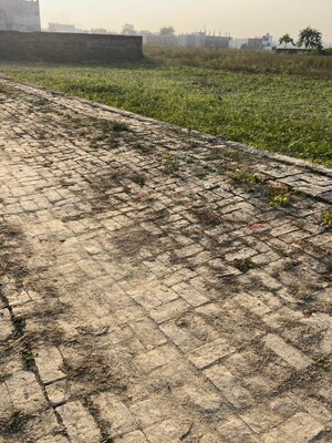 Plot Area in  Plot at Kamta – for Sale