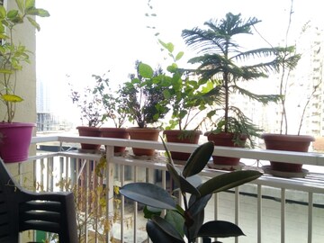 3 BHK Apartment – Exterior View View at BPTP Park Serene, Sector 37d - for Sale