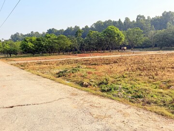  Plot For Sale in Badripur