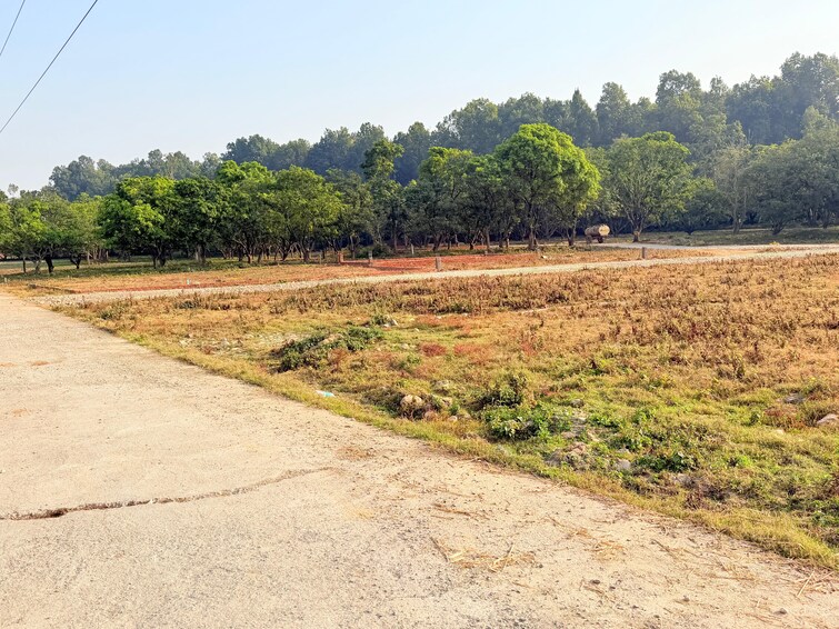 Cover Image, badripur  145 Sq.Yd. Plot In Badripur Dehradun 9666368