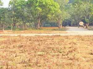  Plot For Sale in Shimla Bypass Road