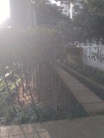 2 BHK 938 Sq.Ft. Apartment in Salarpuria Sattva Exotic