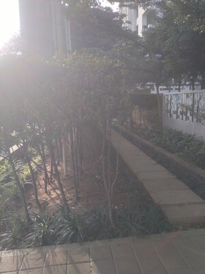 2 BHK Apartment For Rent in Salarpuria Sattva Exotic, Kogilu