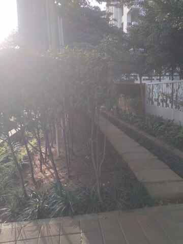 2 BHK Apartment For Rent in Salarpuria Sattva Exotic, Kogilu