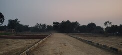 Plot For Sale in Pb Properties 