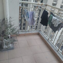 3 BHK + Extra Room Apartment For Sale in Paramount Emotions