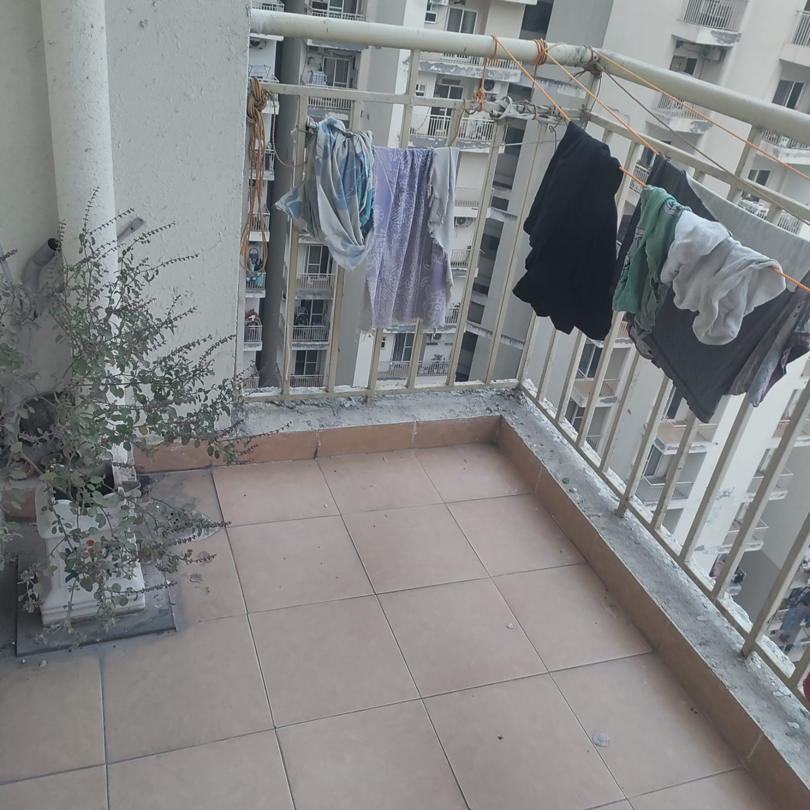 3 BHK + Extra Room Apartment For Sale in Paramount Emotions