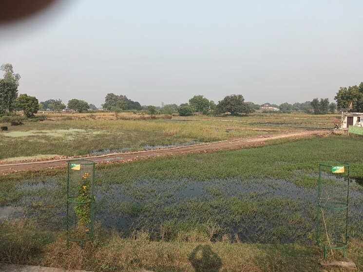 undefined, sarnath  1360 Sq.Ft. Plot In Sarnath Varanasi 9666900