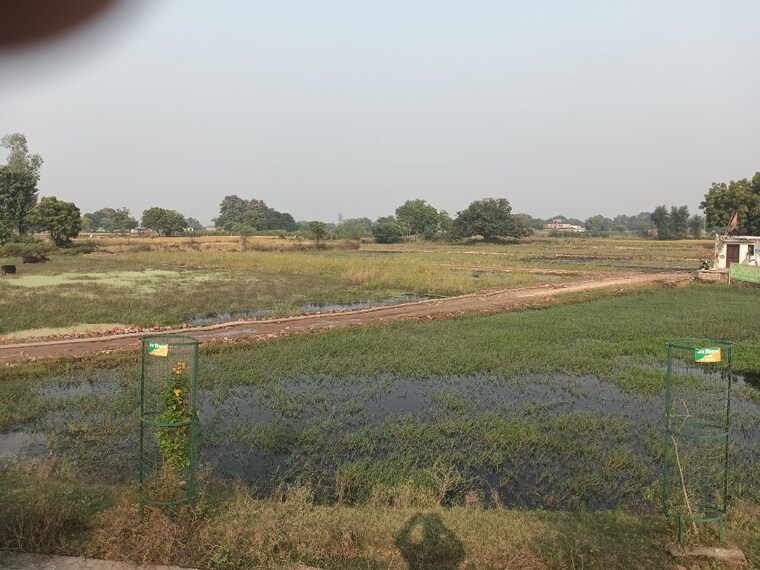 undefined, sarnath  1360 Sq.Ft. Plot In Sarnath Varanasi 9666900