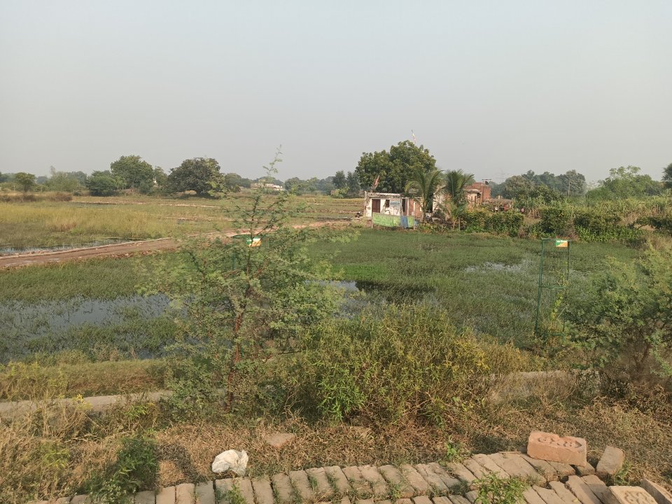 Plot For Sale in Sarnath