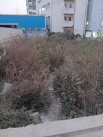575 Sq.Yd. Plot in Narsingi