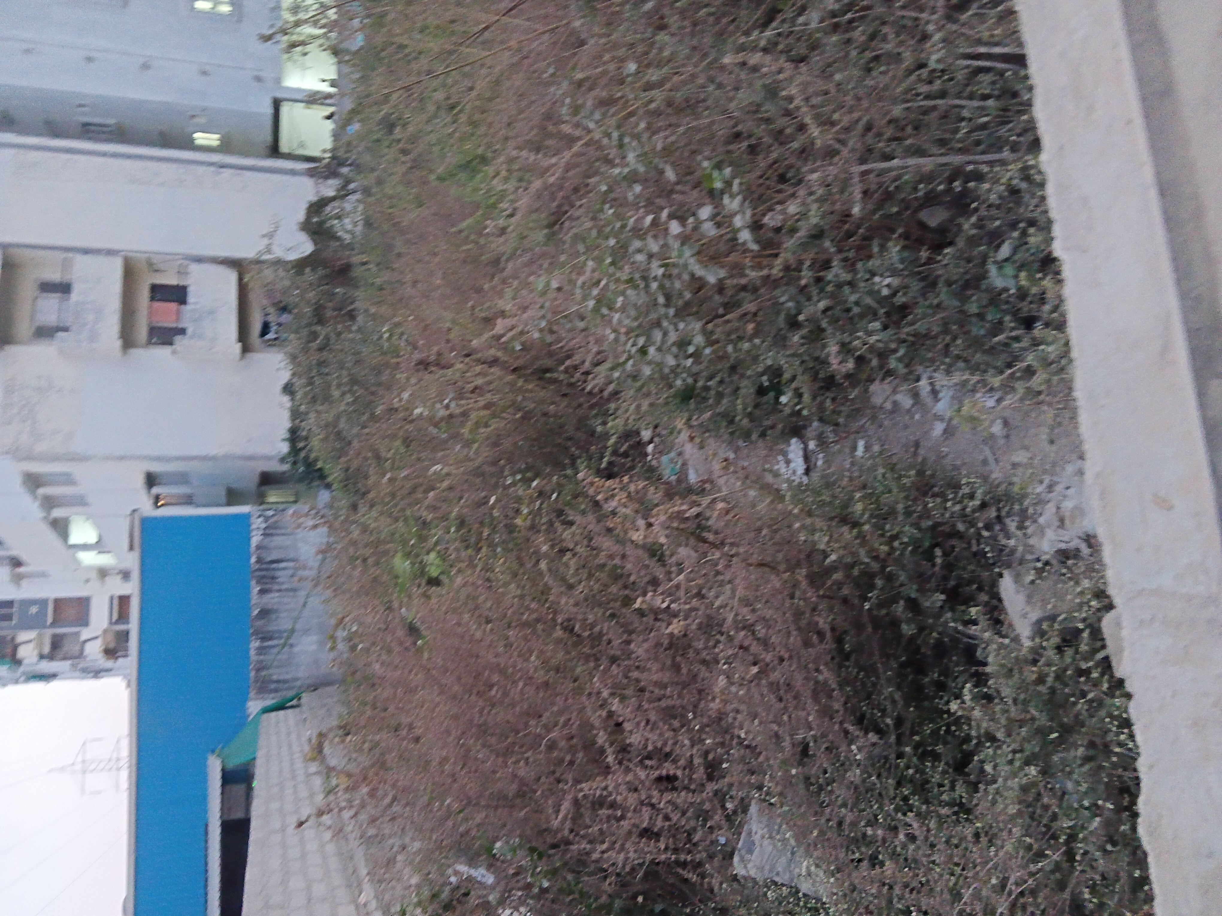 Plot For Sale in Ganesh Gupta  Open  Plots